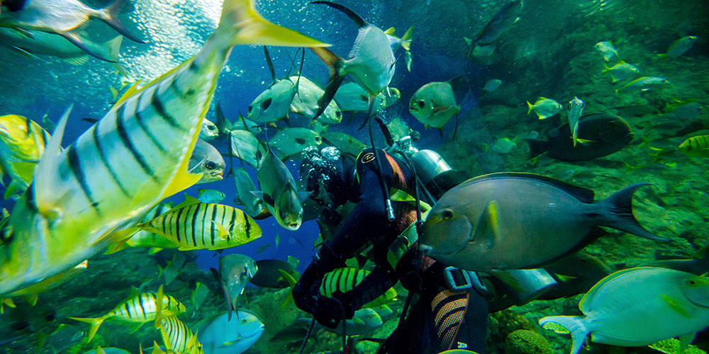 Underwater World Pattaya